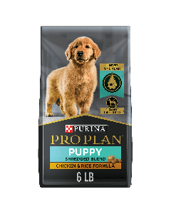 Purina Pro Plan Development Puppy Shredded Blend Chicken & Rice Dog Food - 6 lb bag 