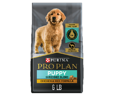 Purina Pro Plan Development Puppy Shredded Blend Chicken & Rice Dog Food - 6 lb bag
