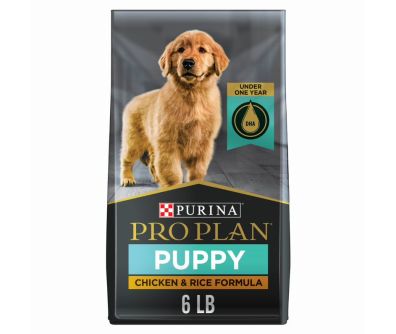 Purina Pro Plan Development Puppy Chicken & Rice Formula Dog Food - 6 lb bag
